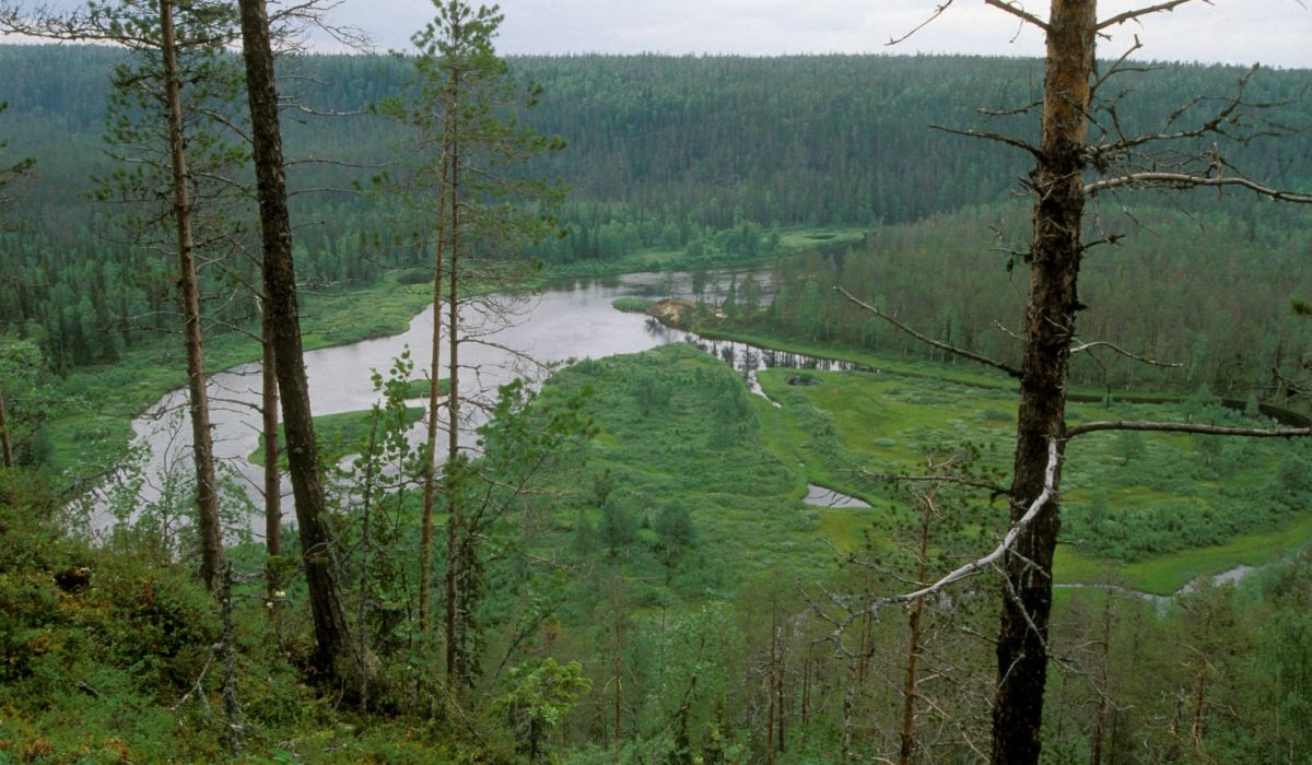 kokouskuva