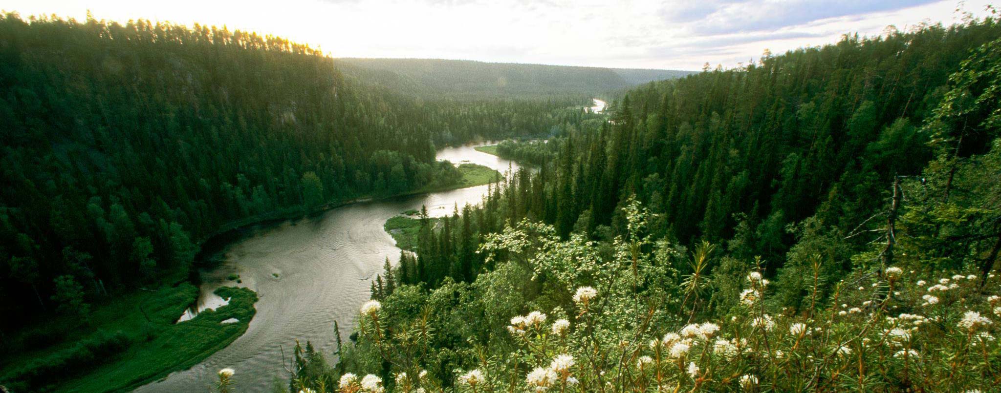 Elinkeinojen ilta - Uusi normaali on Kuusamolle mahdollisuus - Pro Kuusamo