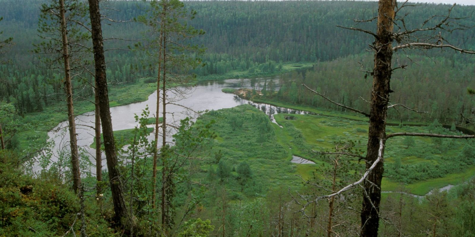 kokouskuva