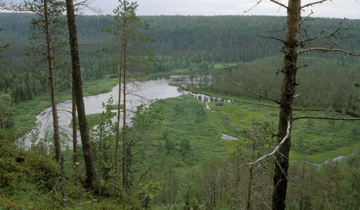 kokouskuva